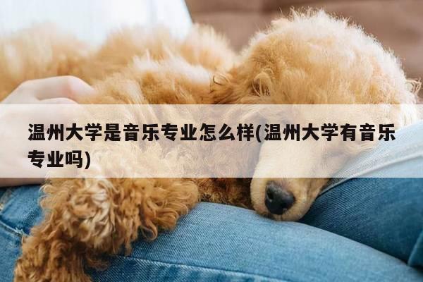 温州大学是音乐专业怎么样(温州大学有音乐专业吗)