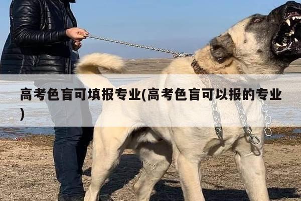 高考色盲可填报专业(高考色盲可以报的专业)