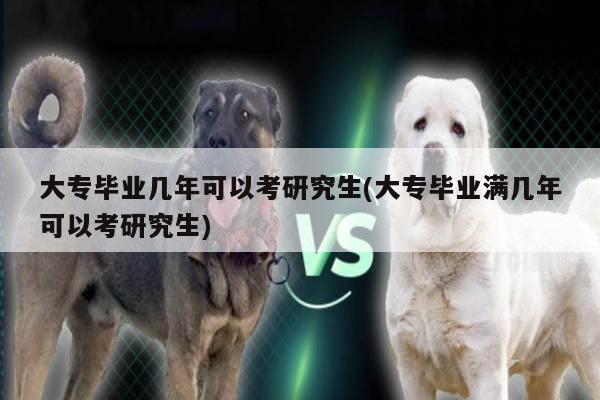 大专毕业几年可以考研究生(大专毕业满几年可以考研究生)