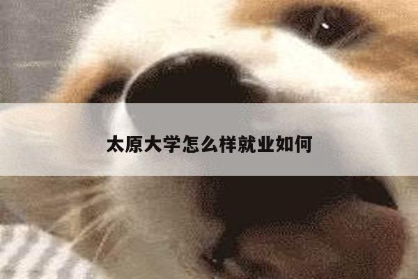 太原大学怎么样就业如何
