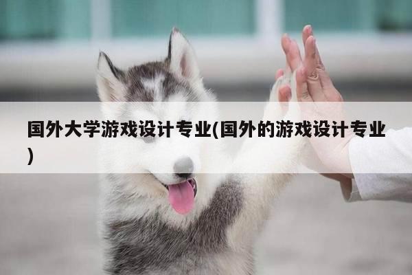 国外大学游戏设计专业(国外的游戏设计专业)