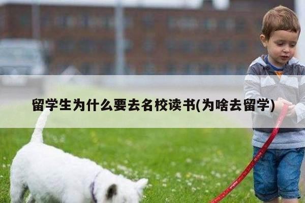 留学生为什么要去名校读书(为啥去留学)