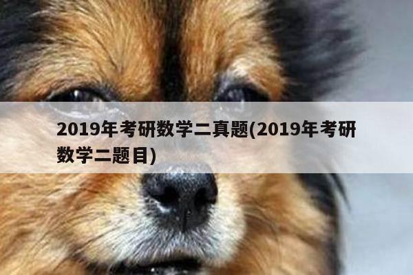 2019年考研数学二真题(2019年考研数学二题目)