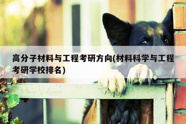 高分子材料与工程考研方向(材料科学与工程考研学校排名)