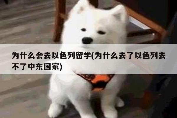 为什么会去以色列留学(为什么去了以色列去不了中东国家)