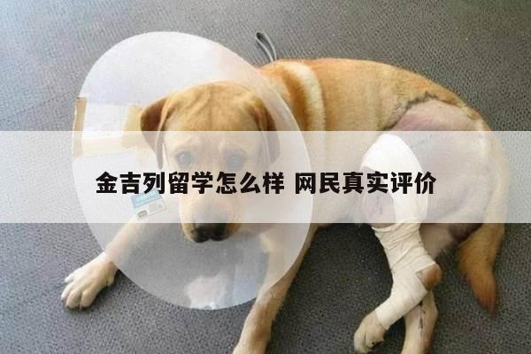 金吉列留学怎么样 网民真实评价