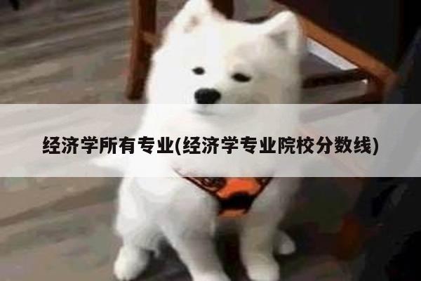 经济学所有专业(经济学专业院校分数线)