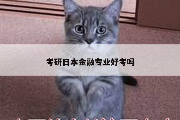 考研日本金融专业好考吗