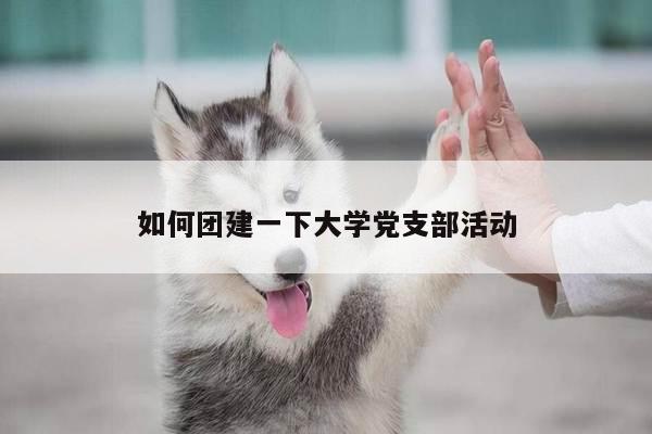 如何团建一下大学党支部活动