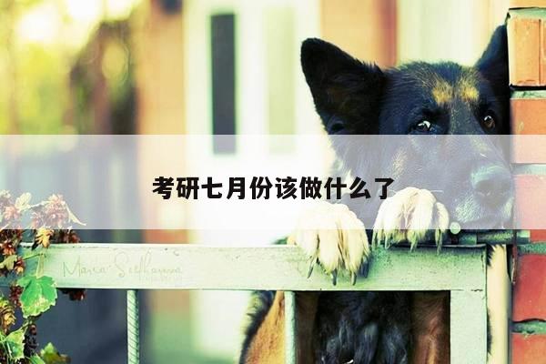 考研七月份该做什么了