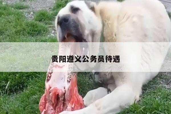 贵阳遵义公务员待遇