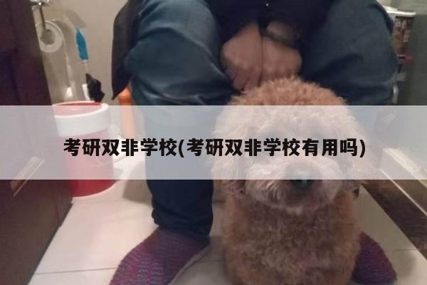 考研双非学校(考研双非学校有用吗)