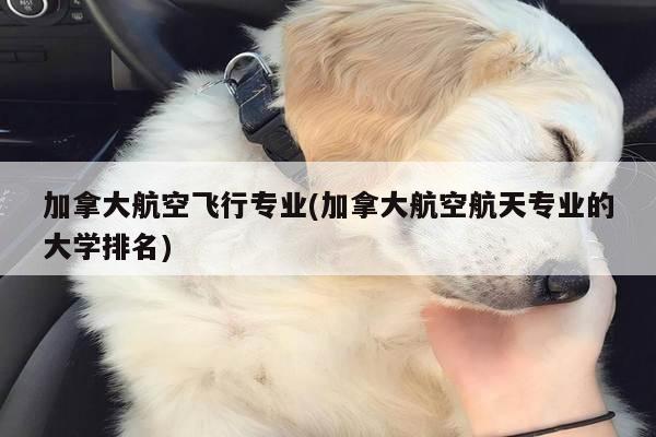 加拿大航空飞行专业(加拿大航空航天专业的大学排名)