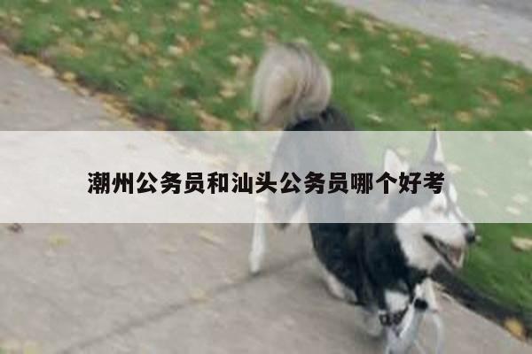 潮州公务员和汕头公务员哪个好考