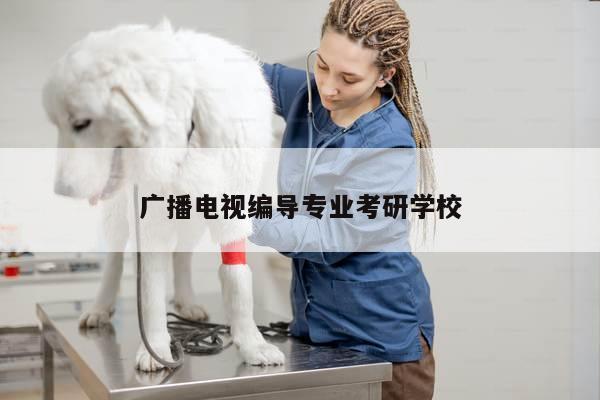 广播电视编导专业考研学校