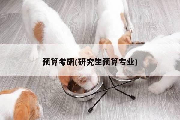 预算考研(研究生预算专业)