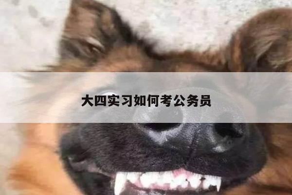 大四实习如何考公务员