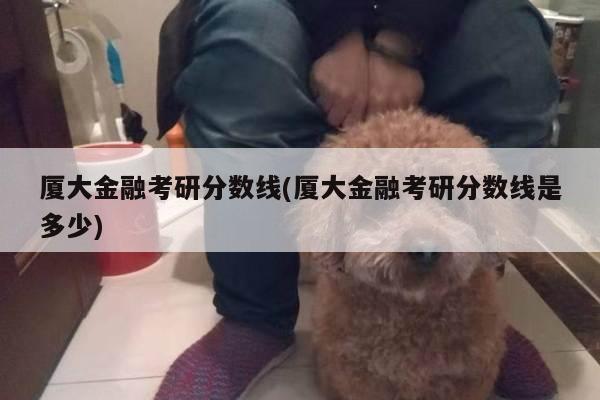 厦大金融考研分数线(厦大金融考研分数线是多少)