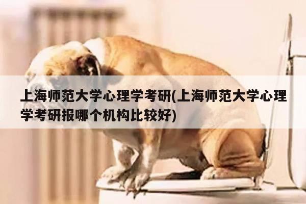 上海师范大学心理学考研(上海师范大学心理学考研报哪个机构比较好)