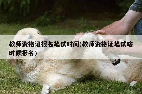 教师资格证报名笔试时间(教师资格证笔试啥时候报名)