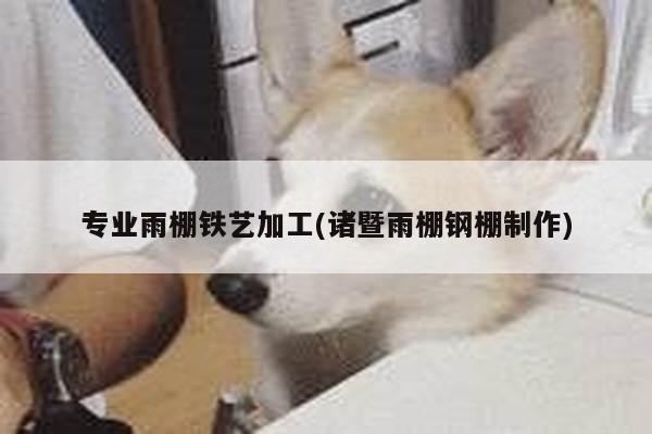 专业雨棚铁艺加工(诸暨雨棚钢棚制作)
