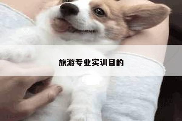 旅游专业实训目的