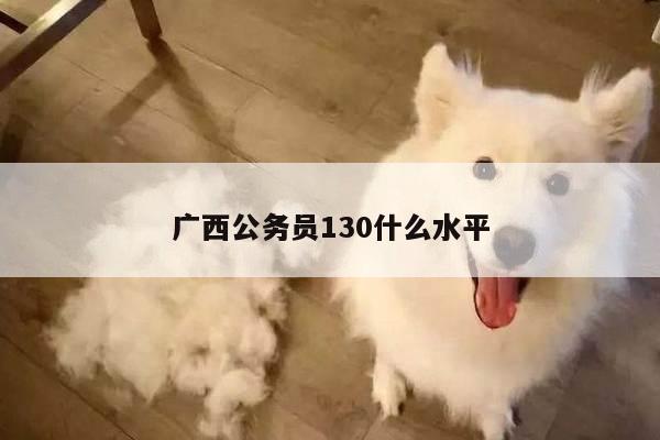 广西公务员130什么水平