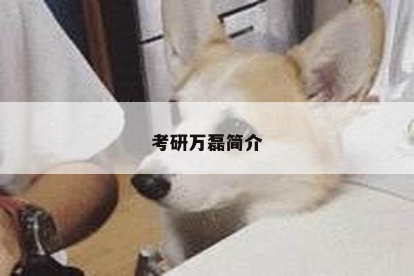 考研万磊简介