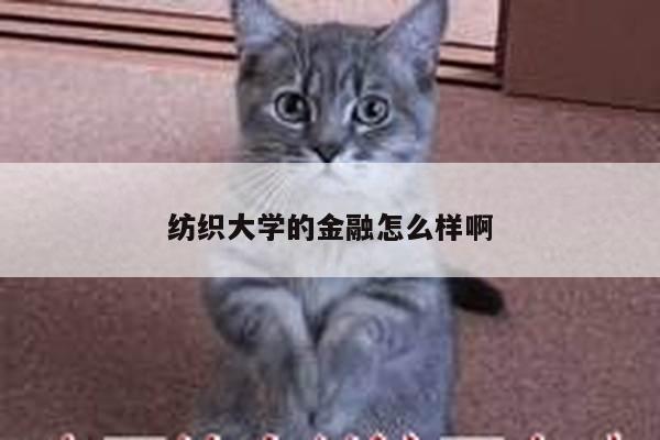 纺织大学的金融怎么样啊