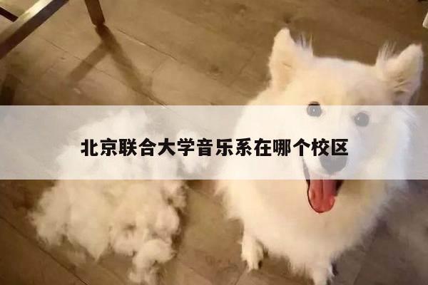 北京联合大学音乐系在哪个校区
