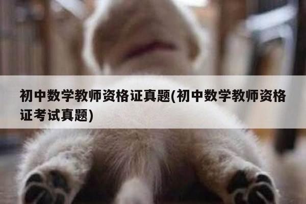 初中数学教师资格证真题(初中数学教师资格证考试真题)