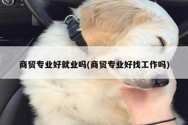 商贸专业好就业吗(商贸专业好找工作吗)