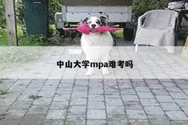 中山大学mpa难考吗