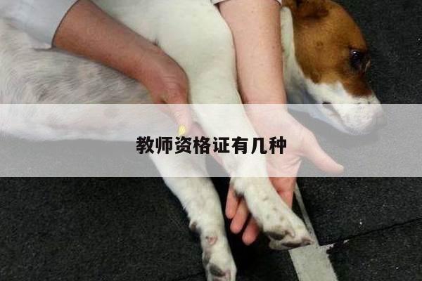 教师资格证有几种