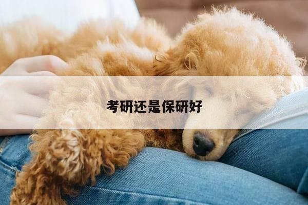考研还是保研好