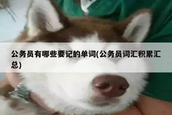 公务员有哪些要记的单词(公务员词汇积累汇总)