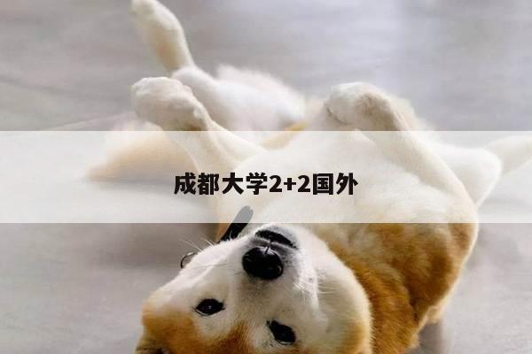 成都大学2+2国外