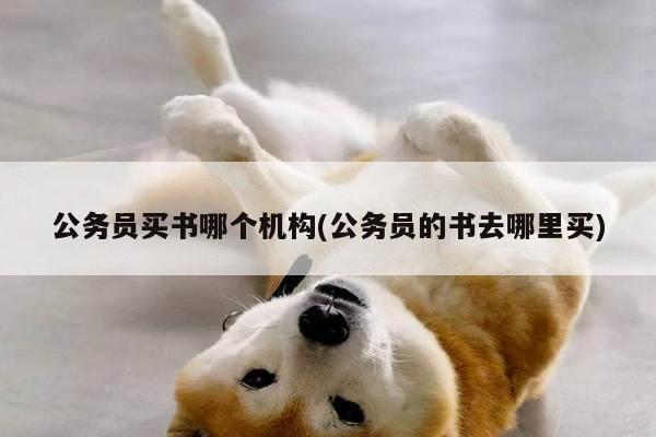 公务员买书哪个机构(公务员的书去哪里买)