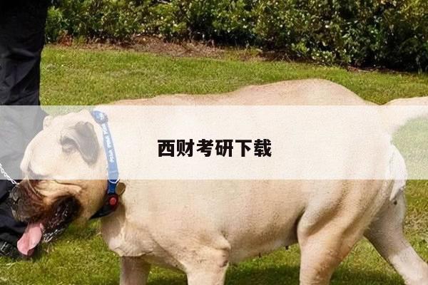 西财考研下载