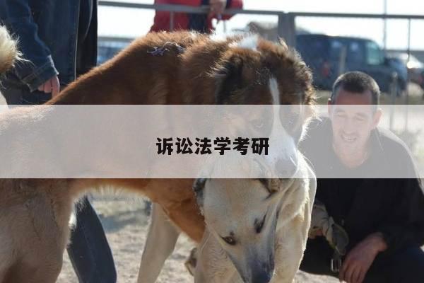 诉讼法学考研