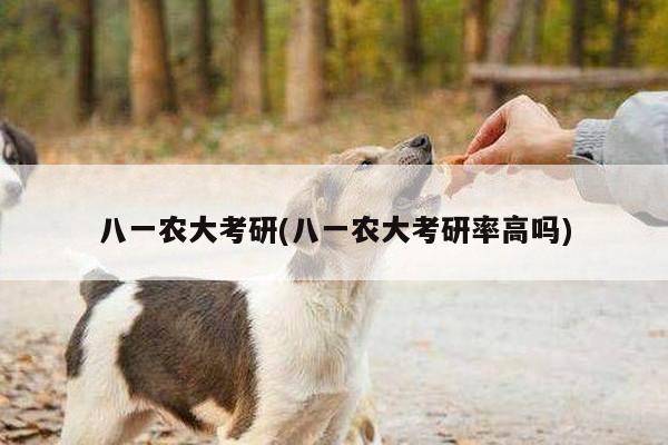 八一农大考研(八一农大考研率高吗)