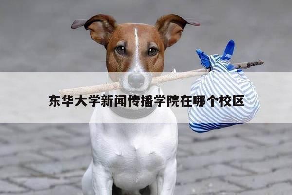 东华大学新闻传播学院在哪个校区