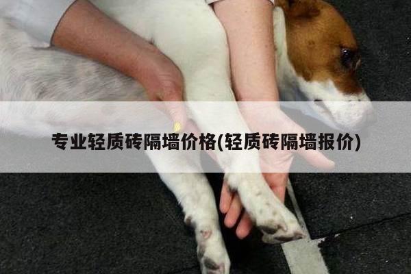 专业轻质砖隔墙价格(轻质砖隔墙报价)