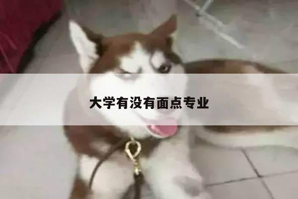大学有没有面点专业