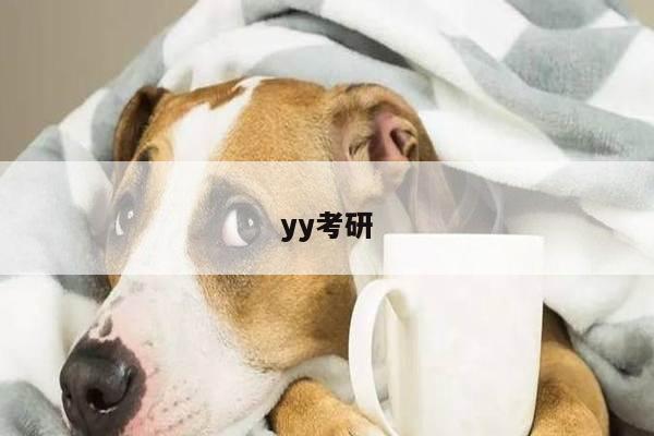 yy考研