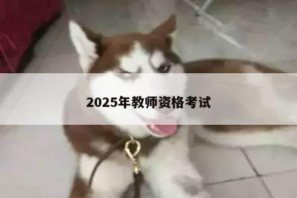 2025年教师资格考试