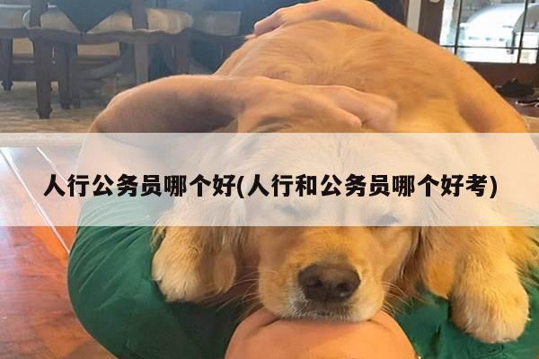 人行公务员哪个好(人行和公务员哪个好考)