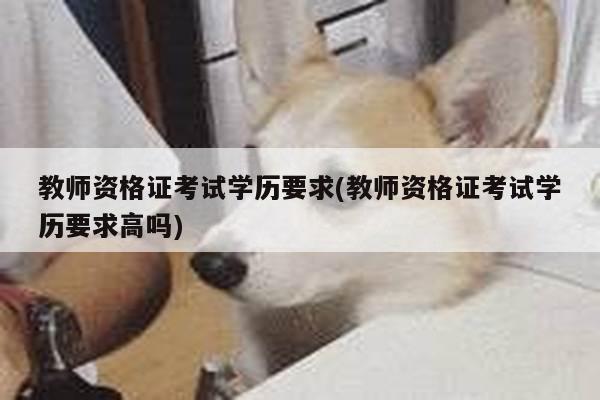 教师资格证考试学历要求(教师资格证考试学历要求高吗)