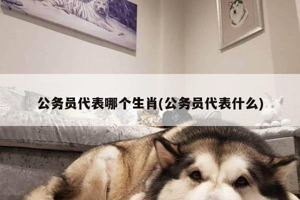 公务员代表哪个生肖(公务员代表什么)