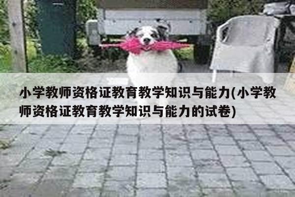 小学教师资格证教育教学知识与能力(小学教师资格证教育教学知识与能力的试卷)